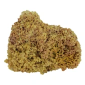 Deniz Kadayıfı Doğal Yerli 100 Gr Paket thumbnail 1