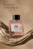 3'lü Orkide Çubuklu Oda Kokusu 100 ml thumbnail 4