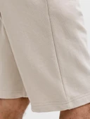 Jack Jones Gordon Archive Regular Fit Erkek Şort 12288638 thumbnail 7