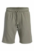 Jack Jones Gordon Bradley Regular Fit Erkek Şort 12249285 thumbnail 4