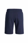 Jack Jones Gordon Regular Fit Erkek Şort 12292136 thumbnail 5