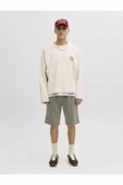 Jack Jones Gordon Bradley Regular Fit Erkek Şort 12249285 thumbnail 2