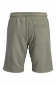 Jack Jones Gordon Bradley Regular Fit Erkek Şort 12249285 thumbnail 5