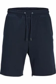 Jack Jones Gordon Bradley Regular Fit Erkek Şort 12249285 thumbnail 4