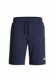 Jack Jones Gordon Regular Fit Erkek Şort 12292136 thumbnail 4