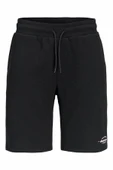 Jack Jones Gordon Regular Fit Erkek Şort 12292136 thumbnail 4