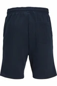 Jack Jones Gordon Bradley Regular Fit Erkek Şort 12249285 thumbnail 5