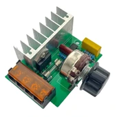 4000W 220V AC Voltaj Regülatörü Dimmer thumbnail 6