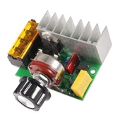 4000W 220V AC Voltaj Regülatörü Dimmer thumbnail 1