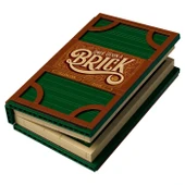 LEGO Ideas 21315 Pop-Up Book thumbnail 2