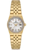 MOMENTUS SS264G-09SG thumbnail 1