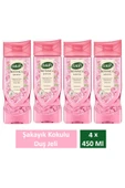 Duş Jeli Botanica Şakayık 450 Ml x 4 Adet thumbnail 1