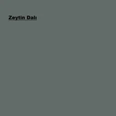 Marshall Solvent Bazlı Panel Kapı Boyası Zeytin Dalı 2,5L thumbnail 2