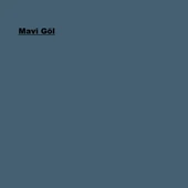 Marshall Su Bazlı Panel Kapı Boyası Mavi Göl 1L thumbnail 2
