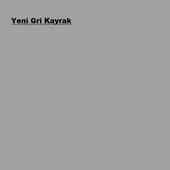 Marshall Solvent Bazlı Panel Kapı Boyası Yeni Gri Kayrak 2,5L thumbnail 2