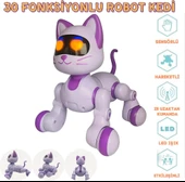 SH40194 U/K DANS EDEN ROBOT KEDİ thumbnail 4