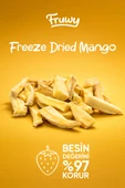 Freeze Dried Mango thumbnail 5