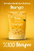 Freeze Dried Mango thumbnail 2