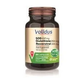 Validus Superoxide Dismutase 237 mg 30 Kapsül thumbnail 1