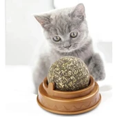 Kedi Nanesi Oyun Topu thumbnail 4