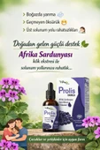 PROLİS PROLİS DAMLA 30 ML thumbnail 2