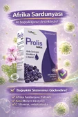 PROLİS PROLİS DAMLA 30 ML thumbnail 3