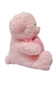 Sevimli Kalpli Peluş Ayı 30 cm thumbnail 3