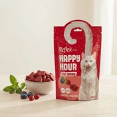 Proline Kitten Kedi maması 1.2 kg thumbnail 2