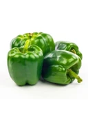 Çoklu Tohum Dolma Biber Kandil - 5 Gram thumbnail 1