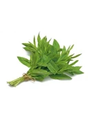 Nane Tohumu - 3 Gram thumbnail 1