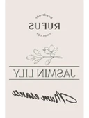 20 ml Mum Esansı, Jasmin Lilly Aroması thumbnail 2