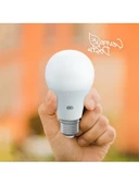 10'lu Gün Işığı LED Ampul, 9W E27 Enerji Tasarruflu thumbnail 2