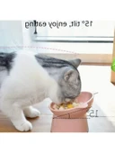Ergonomik Mama ve Su Kabı Seti - 2'li thumbnail 2