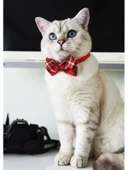 Ayarlanabilir Papyonlu Kedi Tasması thumbnail 2