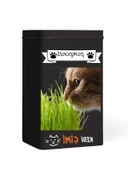 Yıl Boyu Yeşil Kedi Çimi - Pomponet thumbnail 1