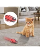 Hareketli Uğur Böceği Şeklinde Kedi Oyuncağı thumbnail 1
