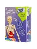 Eğitici İnsan Anatomisi Seti thumbnail 1