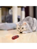 Hareketli Uğur Böceği Şeklinde Kedi Oyuncağı thumbnail 2