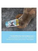 200 ml Kedi Sütü - Cat Milk Latte thumbnail 3