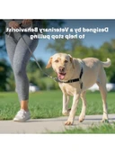 Easy Walk Köpek Koşum Takımı thumbnail 2