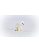 Gerçekçi Bişon Çuha Köpek Figürü, Elde Boyanmış Detaylarla thumbnail 3