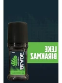 Pudrasız Roll On Deodorant - 50 ml thumbnail 3