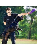 Köpek Eğitim Halkası - 2 Adet Set thumbnail 3