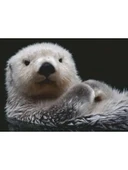 500 Parçalı Su Samuru Temalı Puzzle thumbnail 2