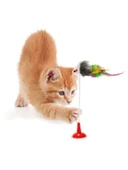 2'li Vantuzlu Hareketli Çanlı Kedi Oyuncağı thumbnail 3