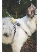 Ayarlanabilir Harness - XS Boy thumbnail 2
