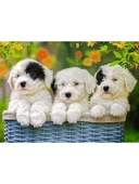 200 Parça Köpek Yavruları Yapboz thumbnail 2