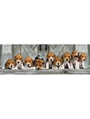 1000 Parça Yetişkin Puzzle – Beagle Temalı Panorama thumbnail 2