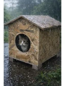 Ahşap Dış Ortam Kedi Evi, 45x40x30 cm thumbnail 2