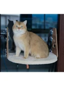 Vantuzlu Kedi Cam Yatağı - Krem thumbnail 3